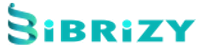 ibrizy-logo
